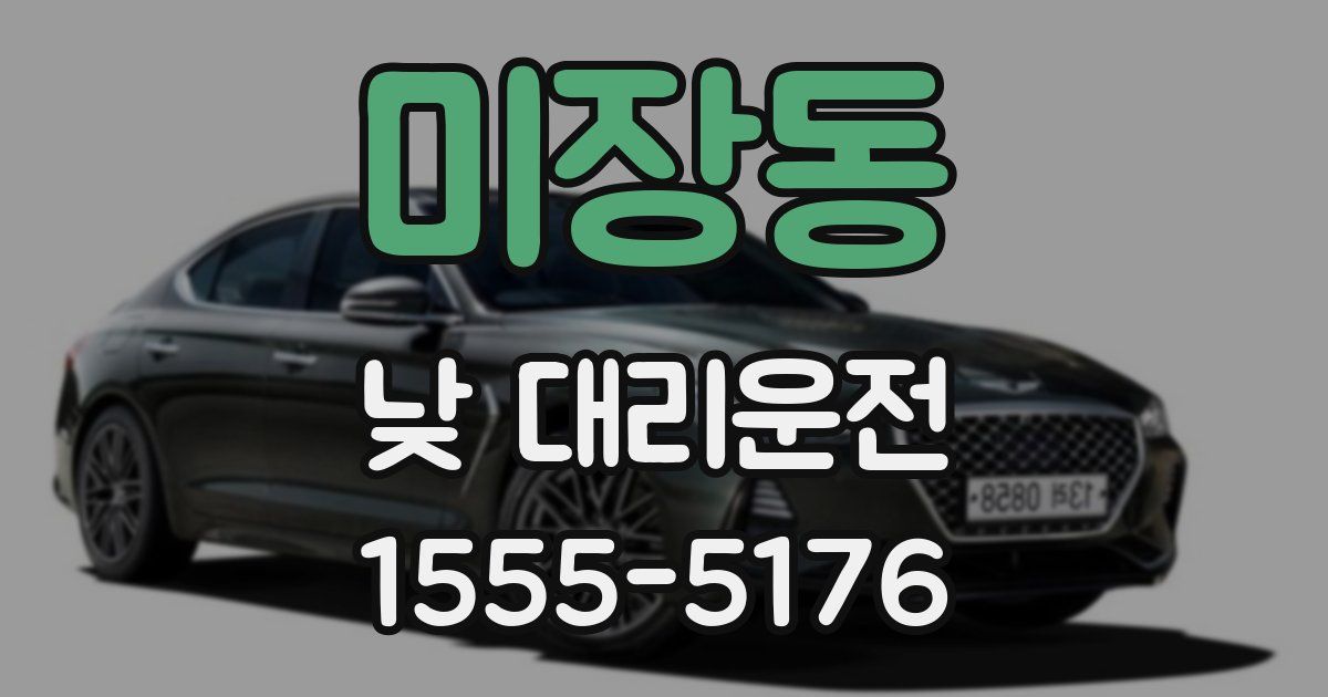 미장동 낮 대리운전