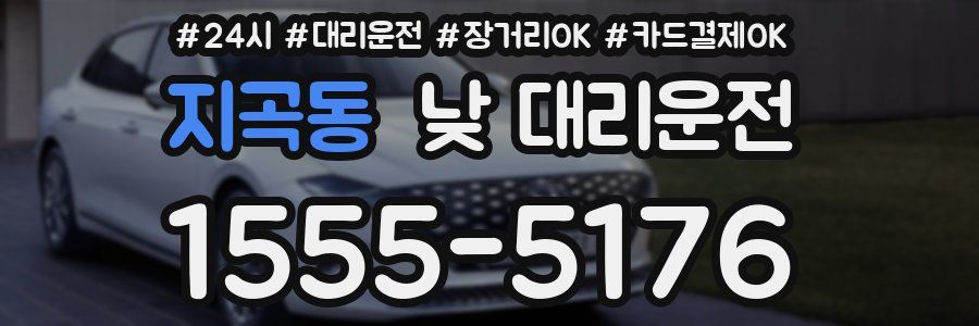 지곡동 낮 대리운전