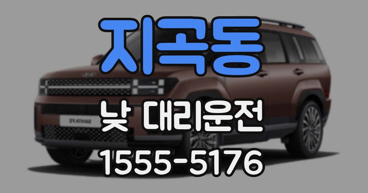 지곡동 낮 대리운전