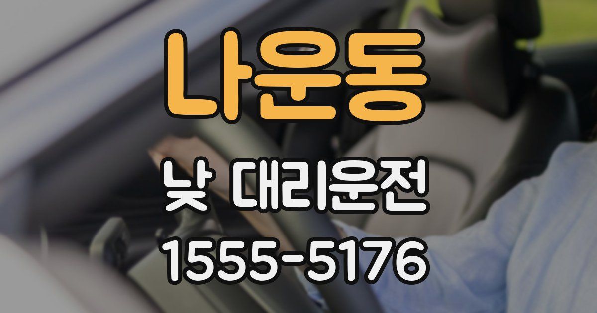 나운동 낮 대리운전