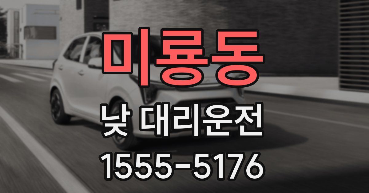 미룡동 낮 대리운전