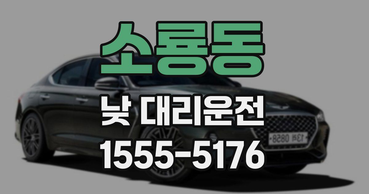소룡동 낮 대리운전