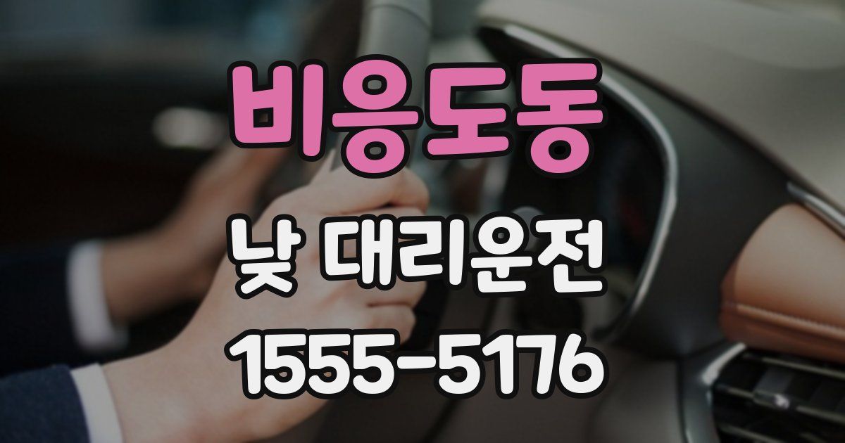 비응도동 낮 대리운전