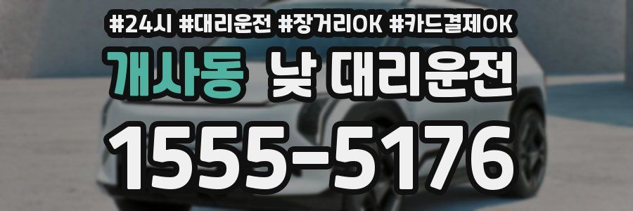 개사동 낮 대리운전
