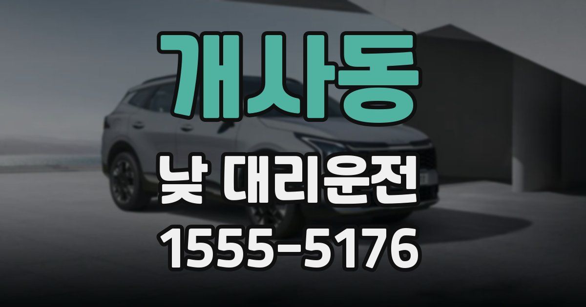 개사동 낮 대리운전