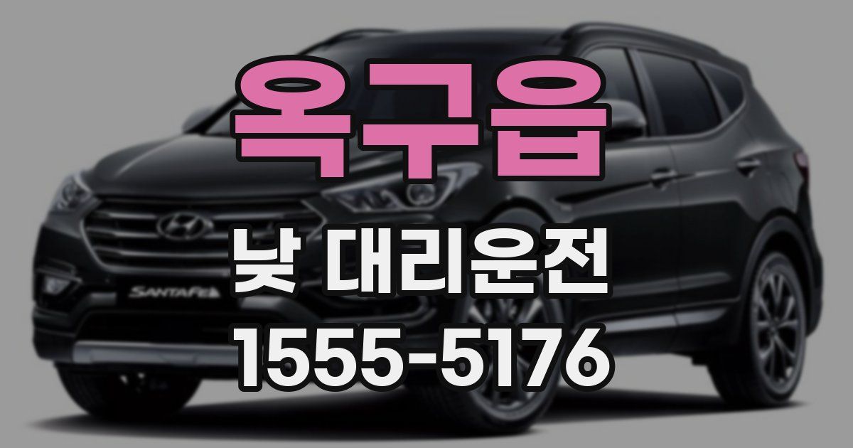 옥구읍 낮 대리운전