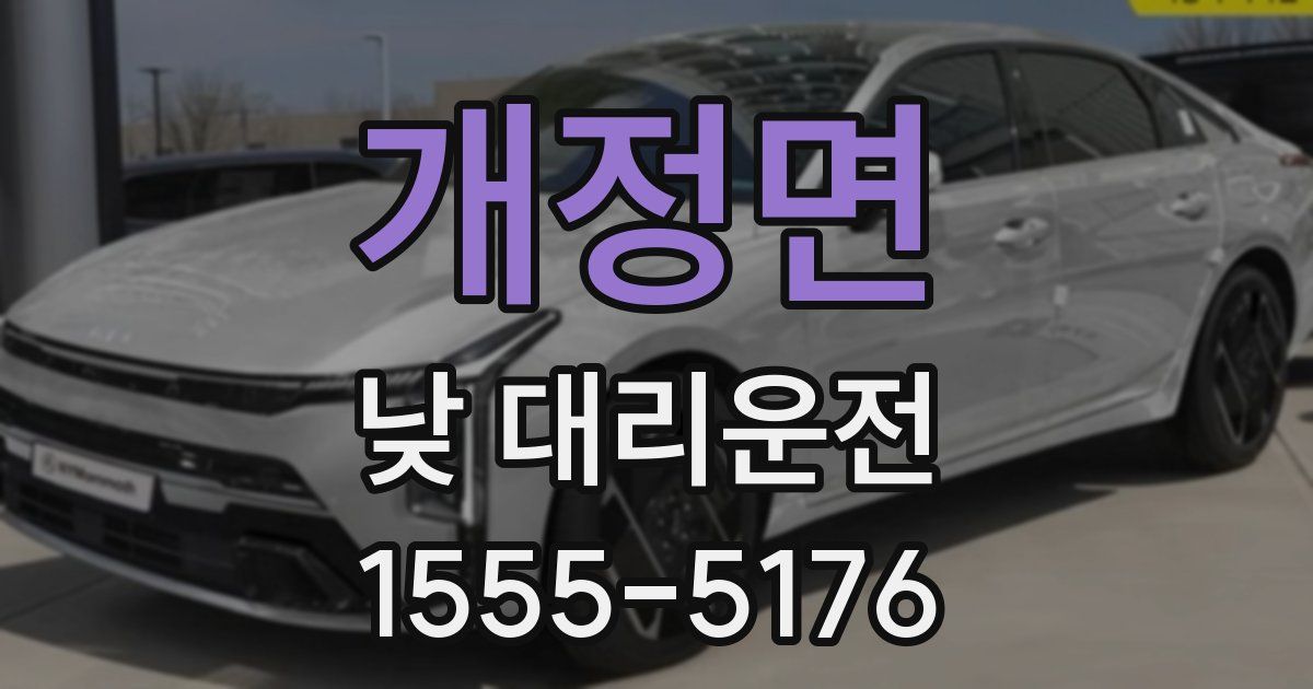 개정면 낮 대리운전