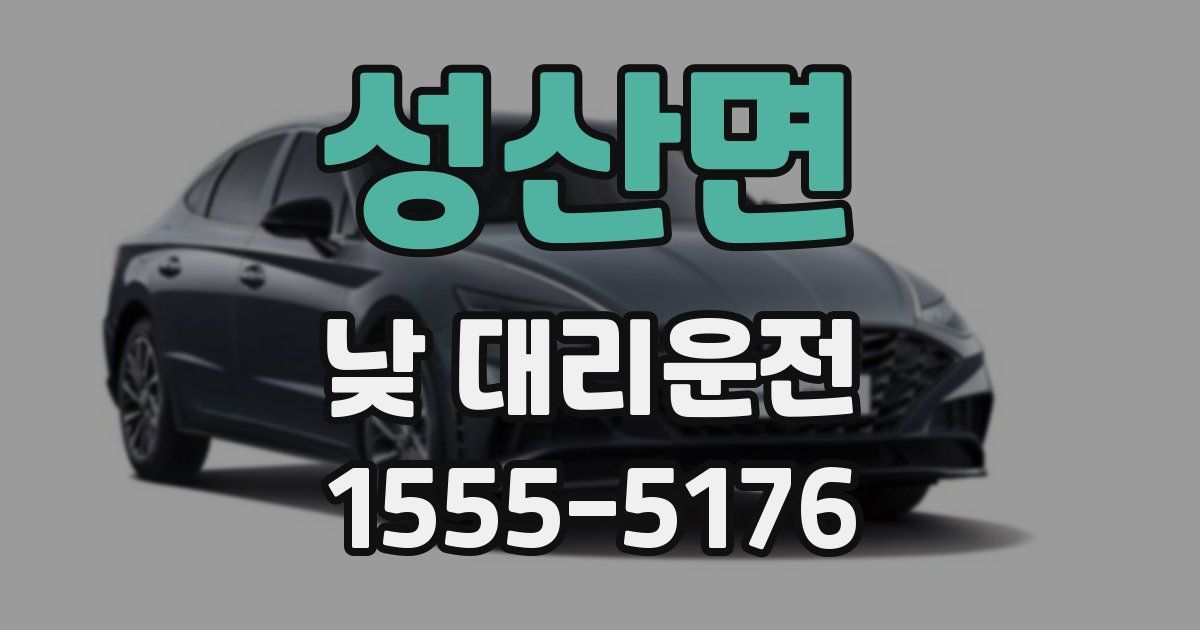 성산면 낮 대리운전