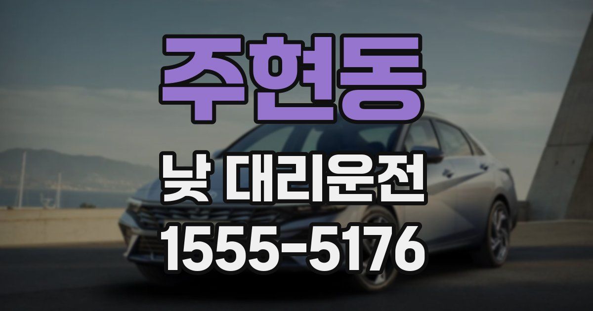 주현동 낮 대리운전
