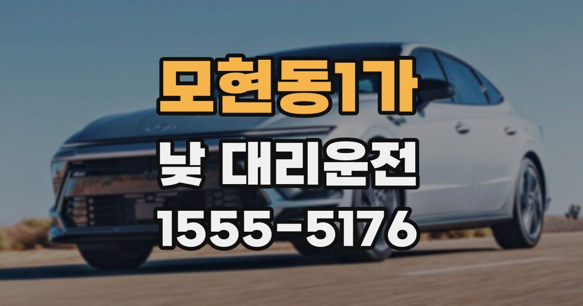모현동1가 낮 대리운전