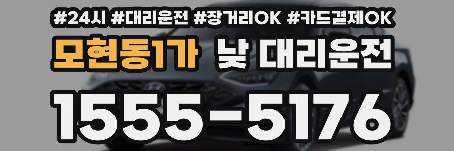 모현동1가 낮 대리운전