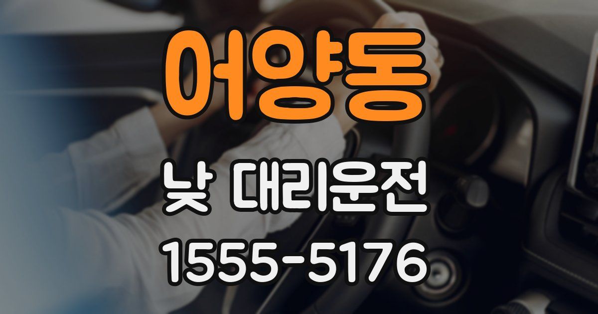 어양동 낮 대리운전