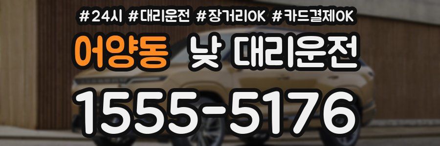 어양동 낮 대리운전