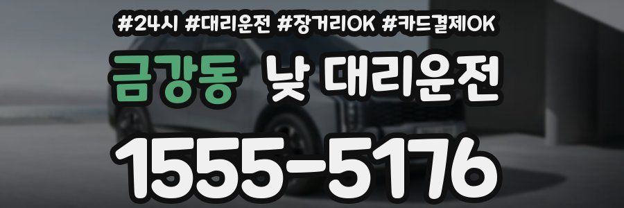 금강동 낮 대리운전