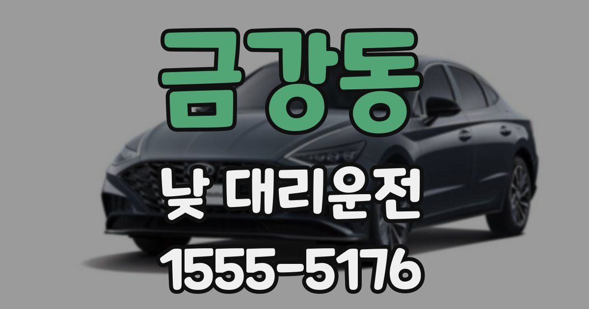 금강동 낮 대리운전