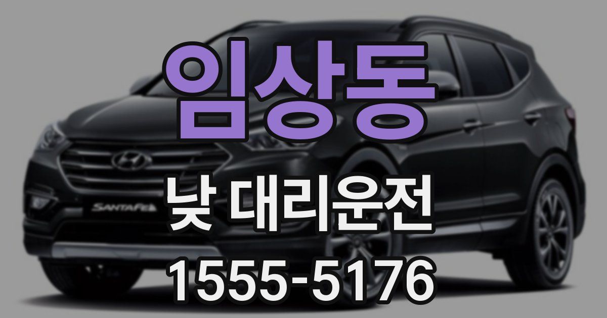 임상동 낮 대리운전