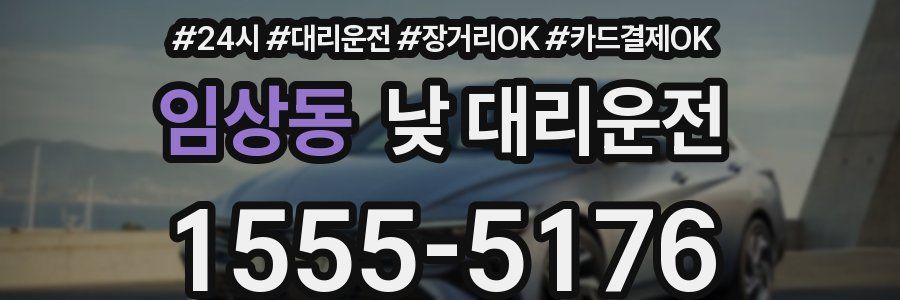 임상동 낮 대리운전
