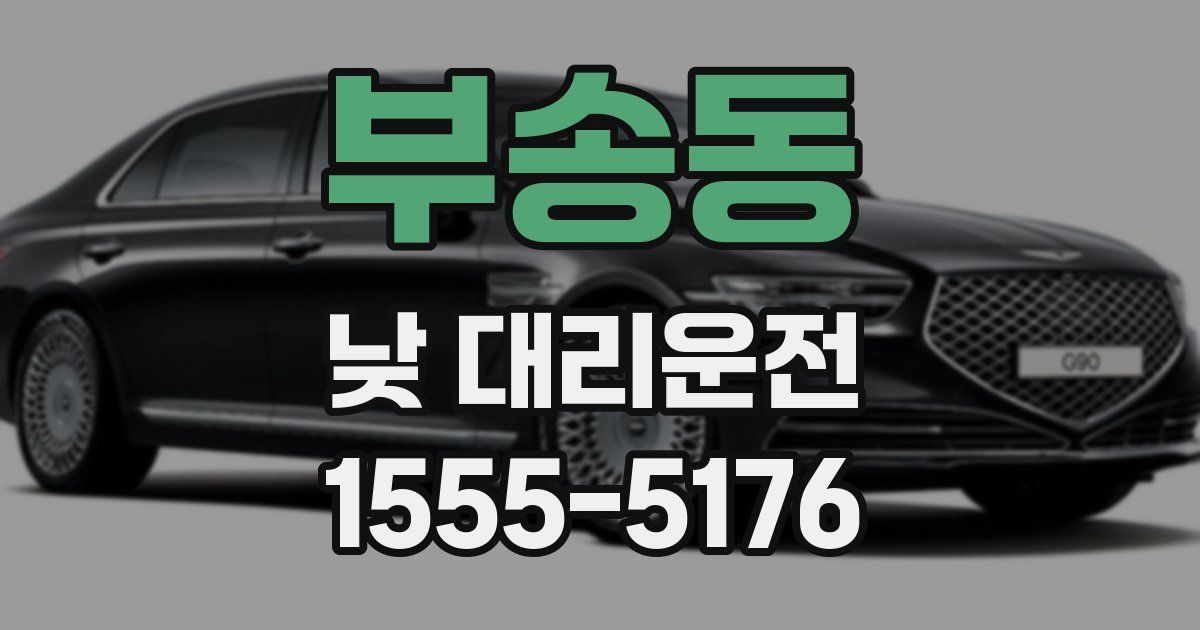 부송동 낮 대리운전