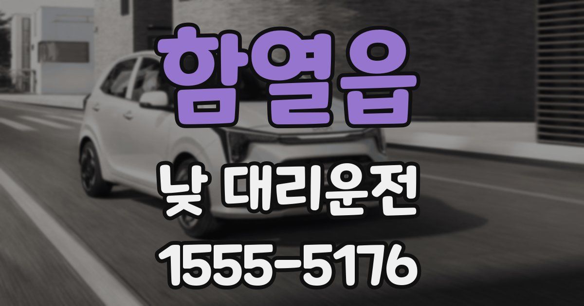 함열읍 낮 대리운전