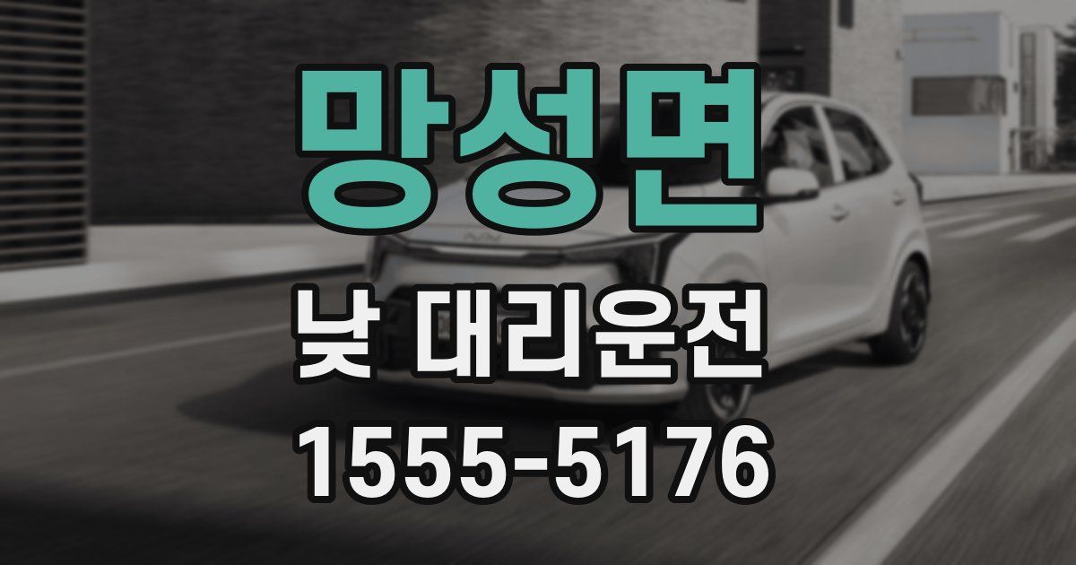 망성면 낮 대리운전