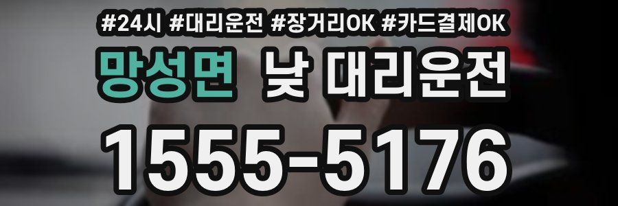 망성면 낮 대리운전