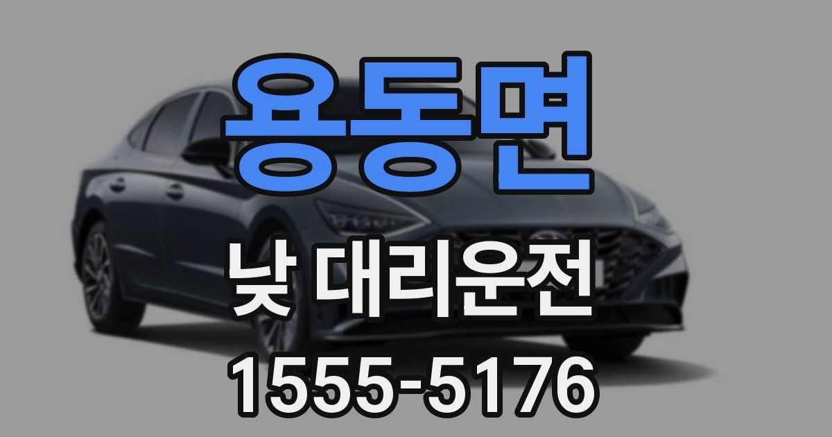 용동면 낮 대리운전