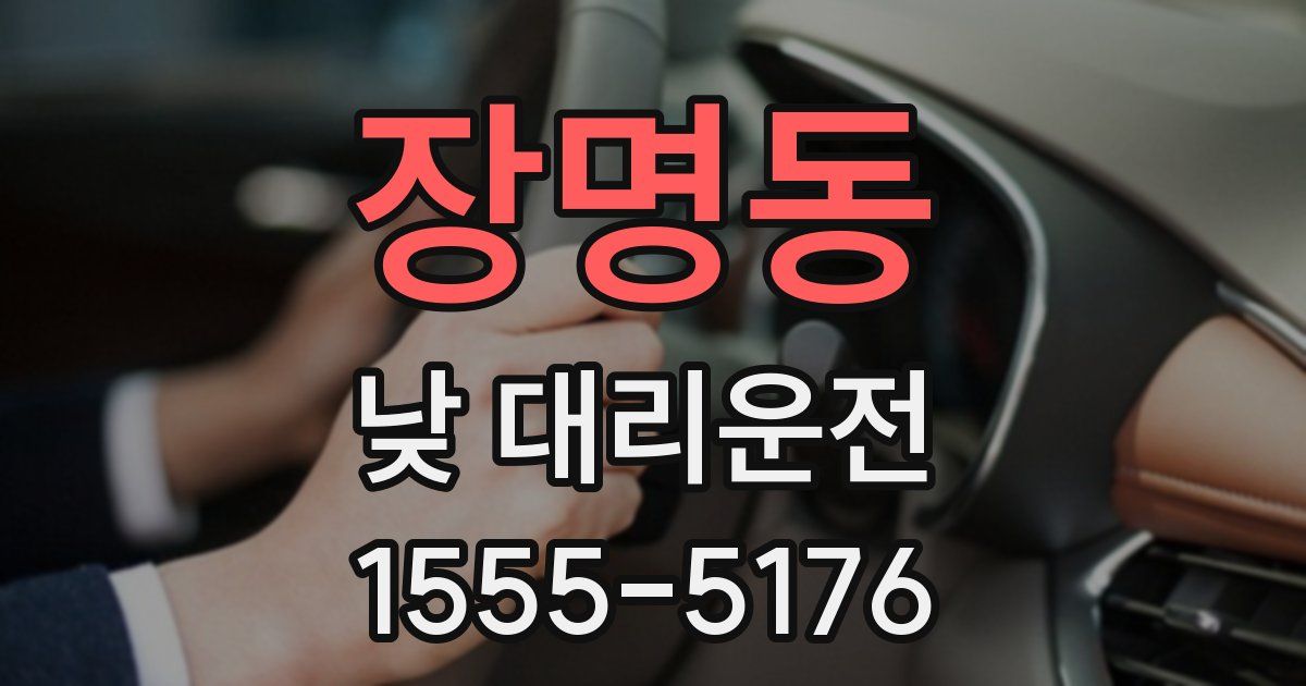 장명동 낮 대리운전