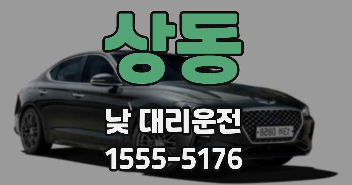 상동 낮 대리운전