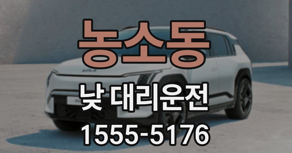 농소동 낮 대리운전
