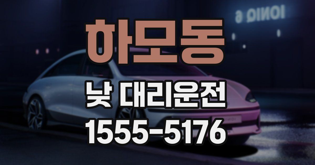 하모동 낮 대리운전