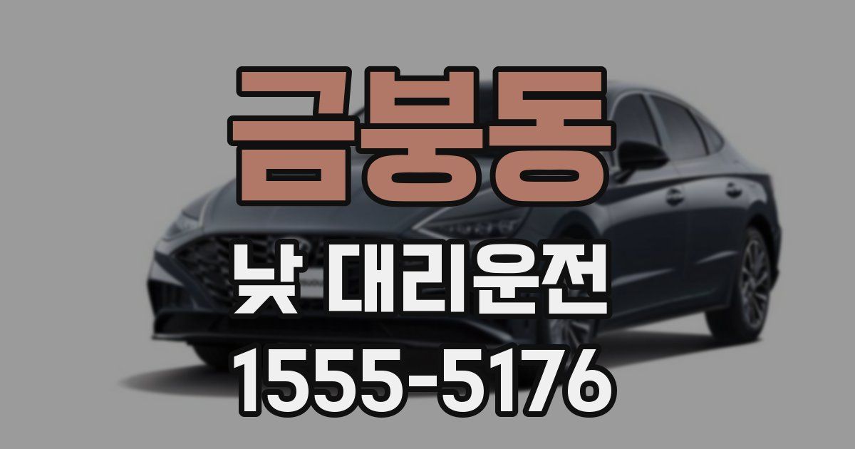 금붕동 낮 대리운전
