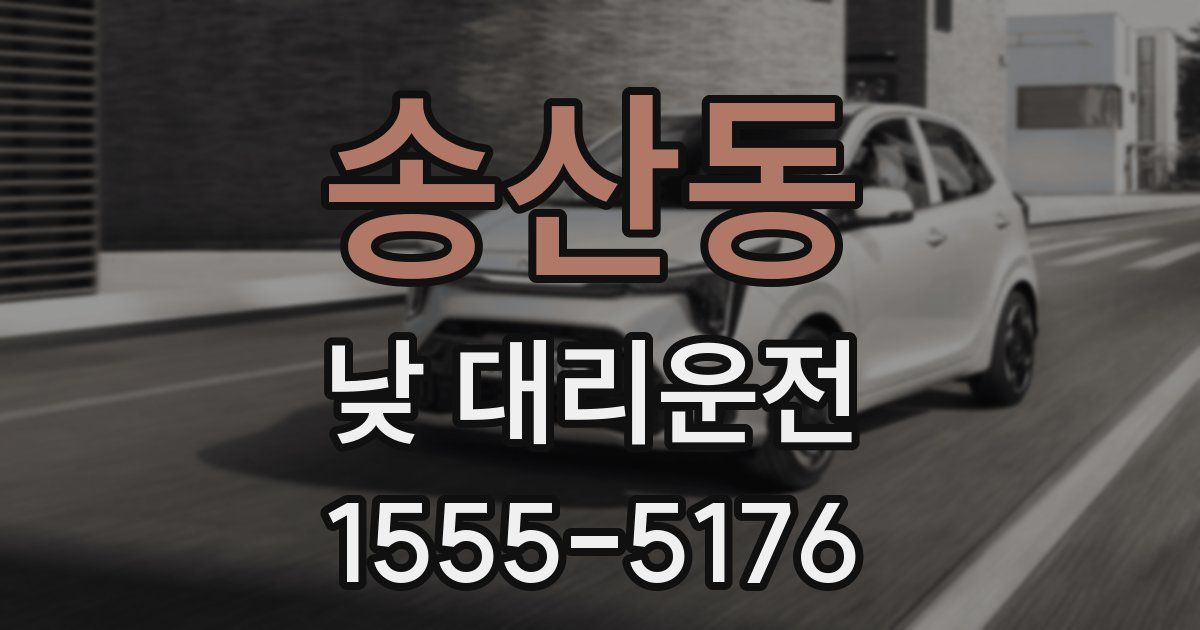 송산동 낮 대리운전