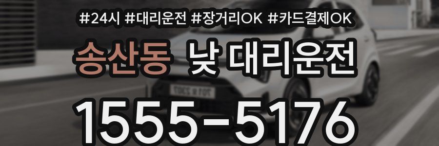 송산동 낮 대리운전