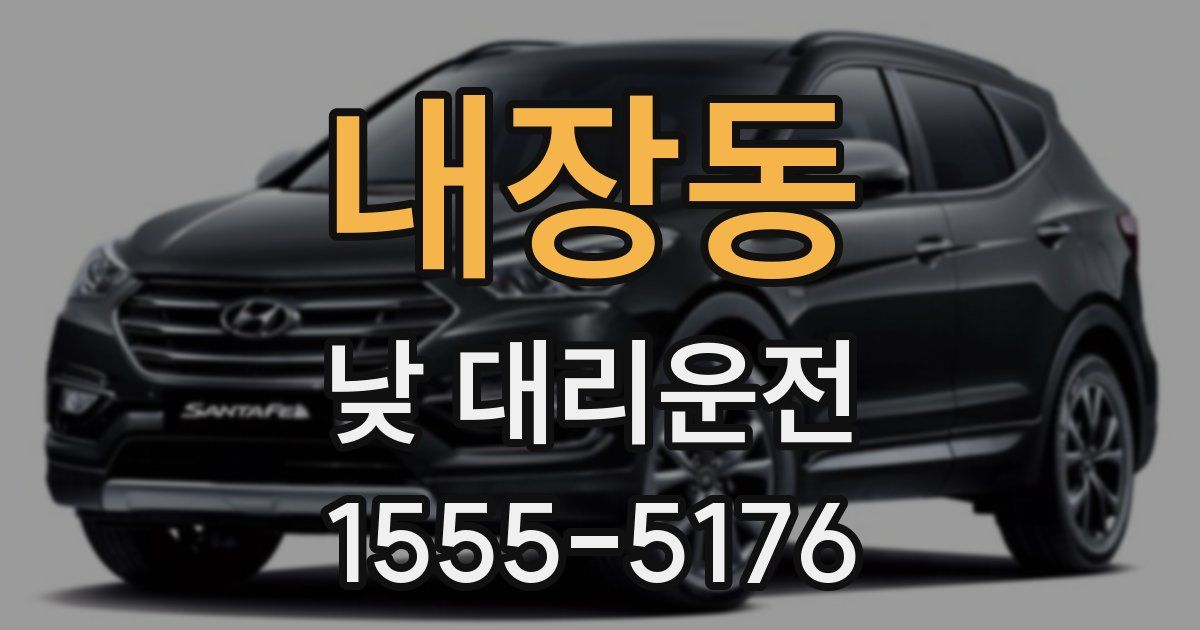 내장동 낮 대리운전