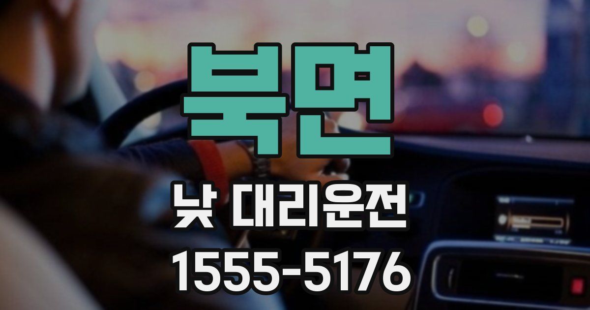 북면 낮 대리운전