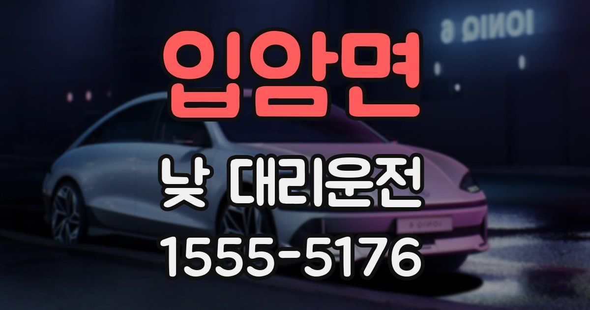 입암면 낮 대리운전