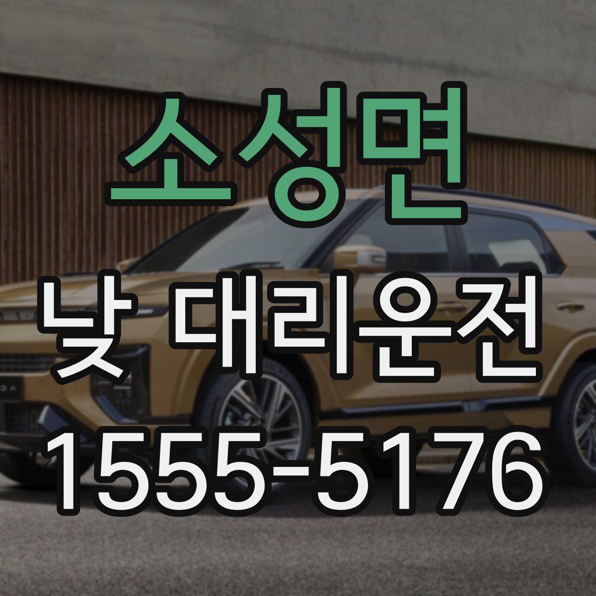 소성면 낮 대리운전