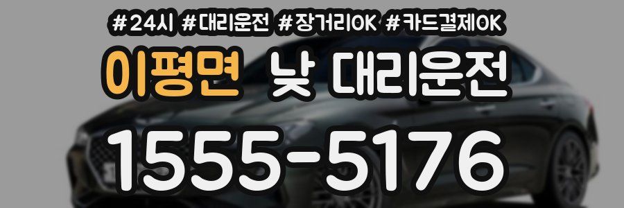 이평면 낮 대리운전