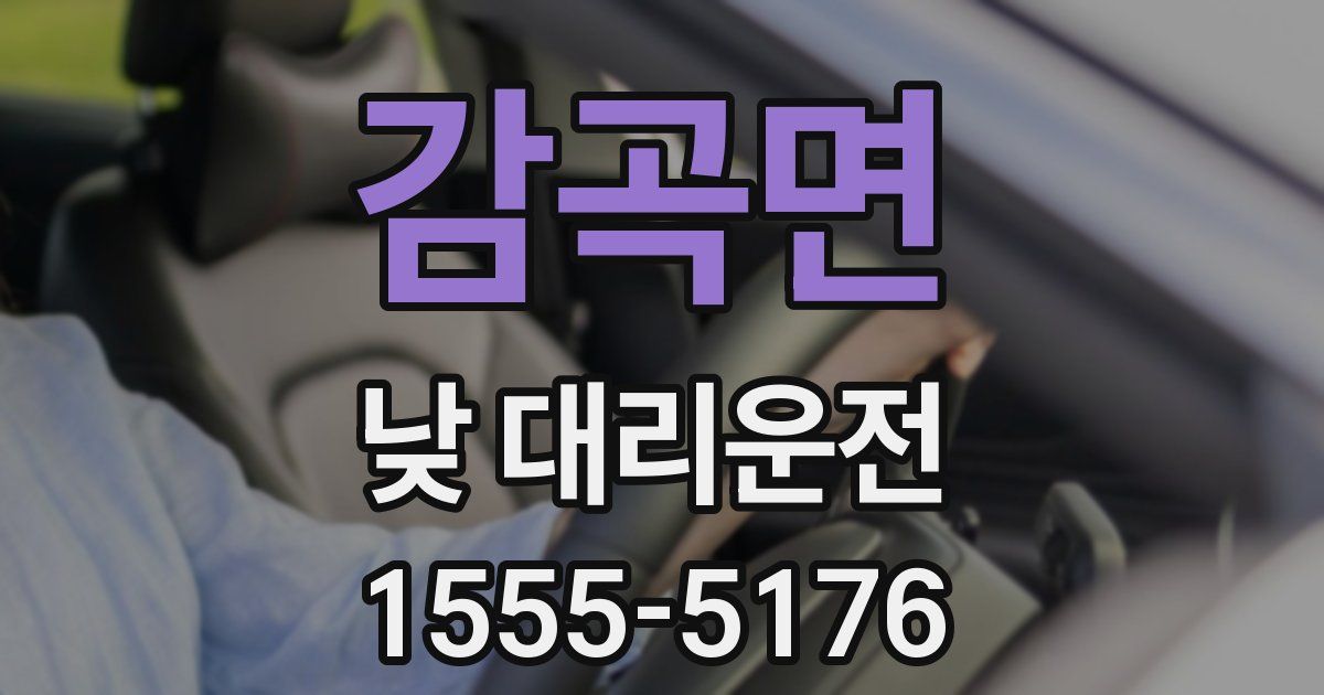 감곡면 낮 대리운전