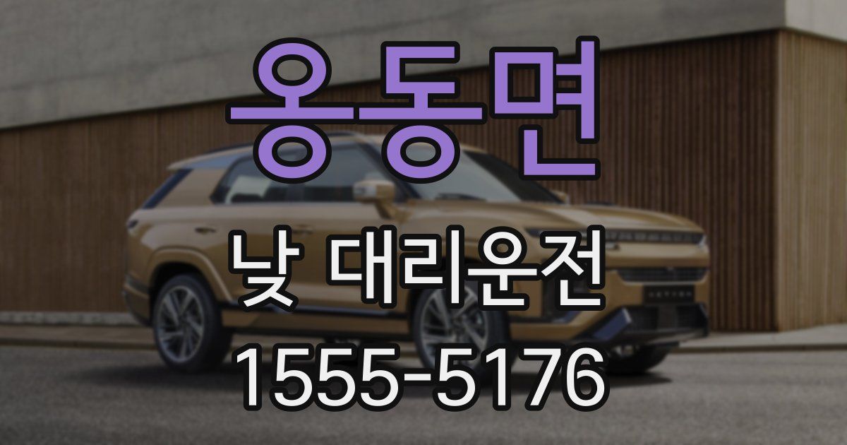 옹동면 낮 대리운전