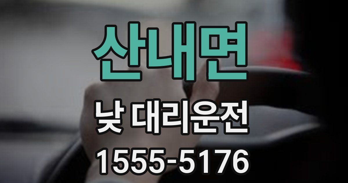 산내면 낮 대리운전
