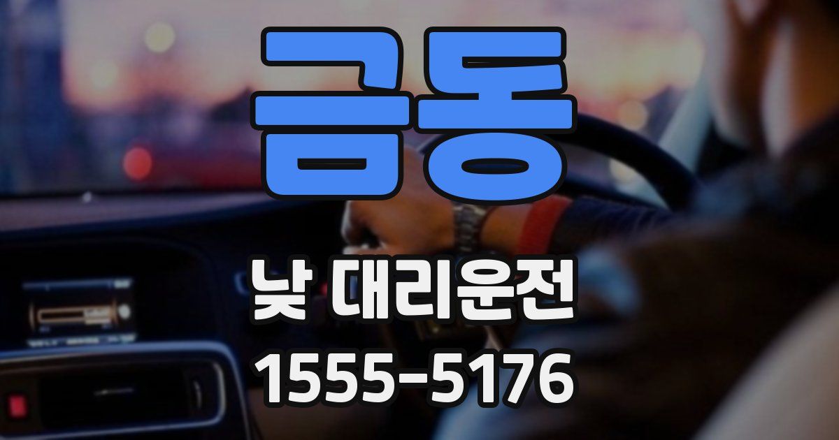 금동 낮 대리운전