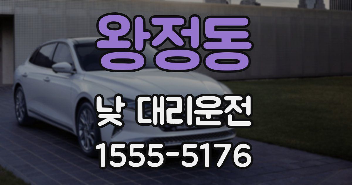 왕정동 낮 대리운전