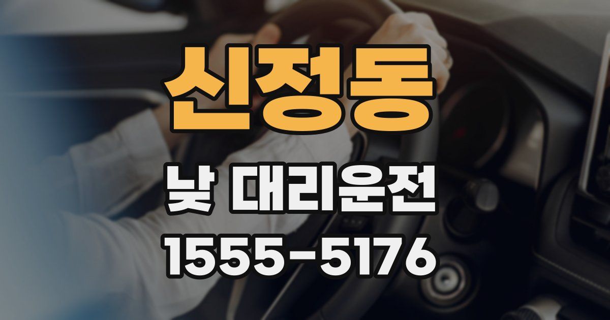 신정동 낮 대리운전