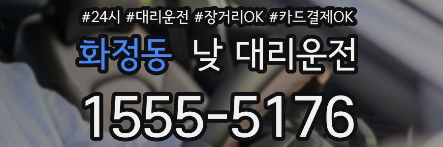 화정동 낮 대리운전