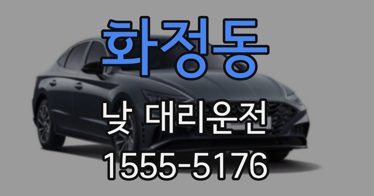 화정동 낮 대리운전