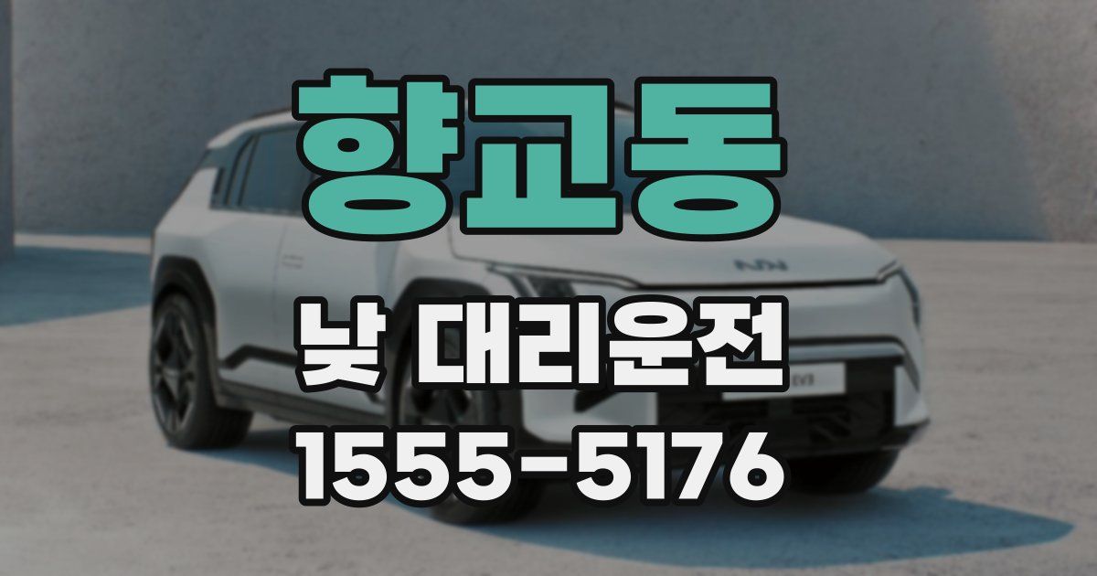 향교동 낮 대리운전