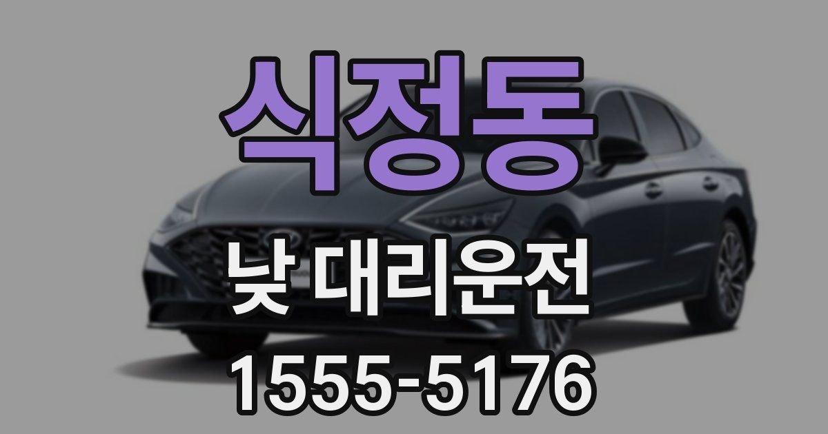 식정동 낮 대리운전