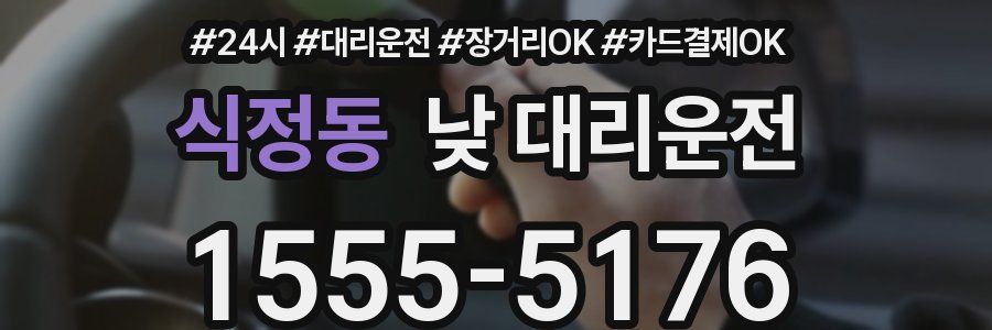 식정동 낮 대리운전