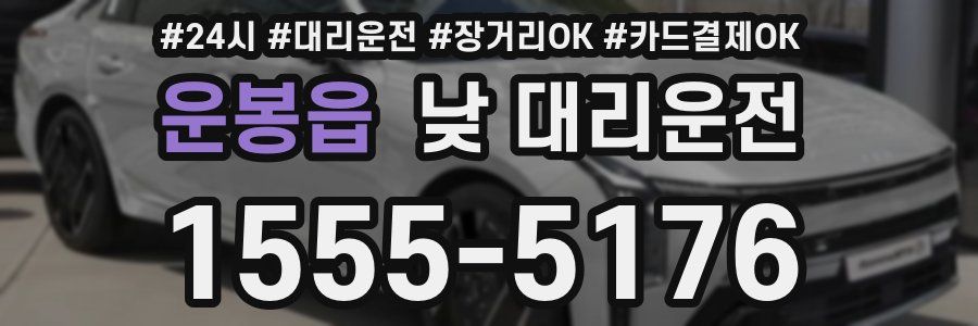 운봉읍 낮 대리운전